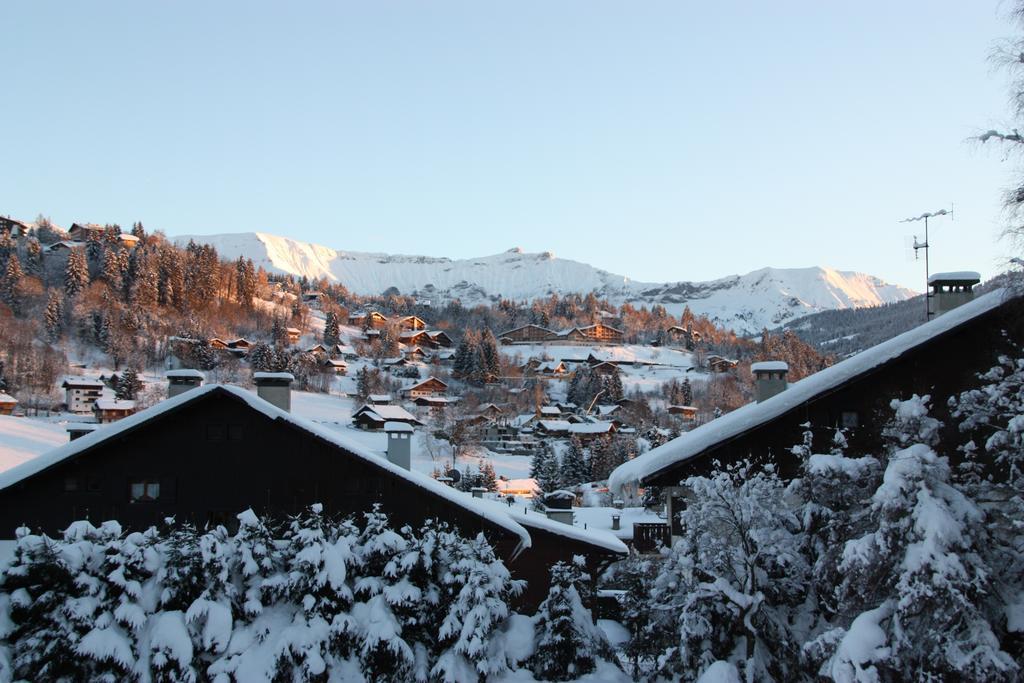 Terrass Park Hotel Megève Zewnętrze zdjęcie