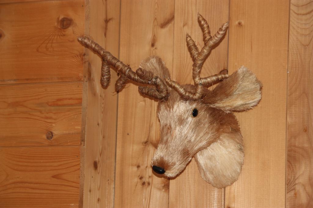Terrass Park Hotel Megève Zewnętrze zdjęcie